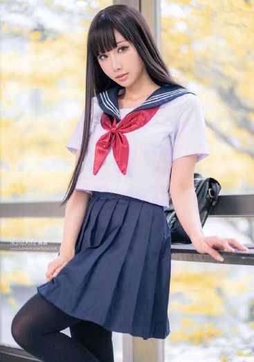 雏菊2
