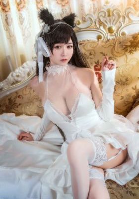 yy4800万利达